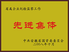 2008年度先進集體