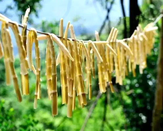 吃春筍，不可辜負的至鮮皖味